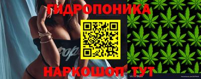 дживик Донской