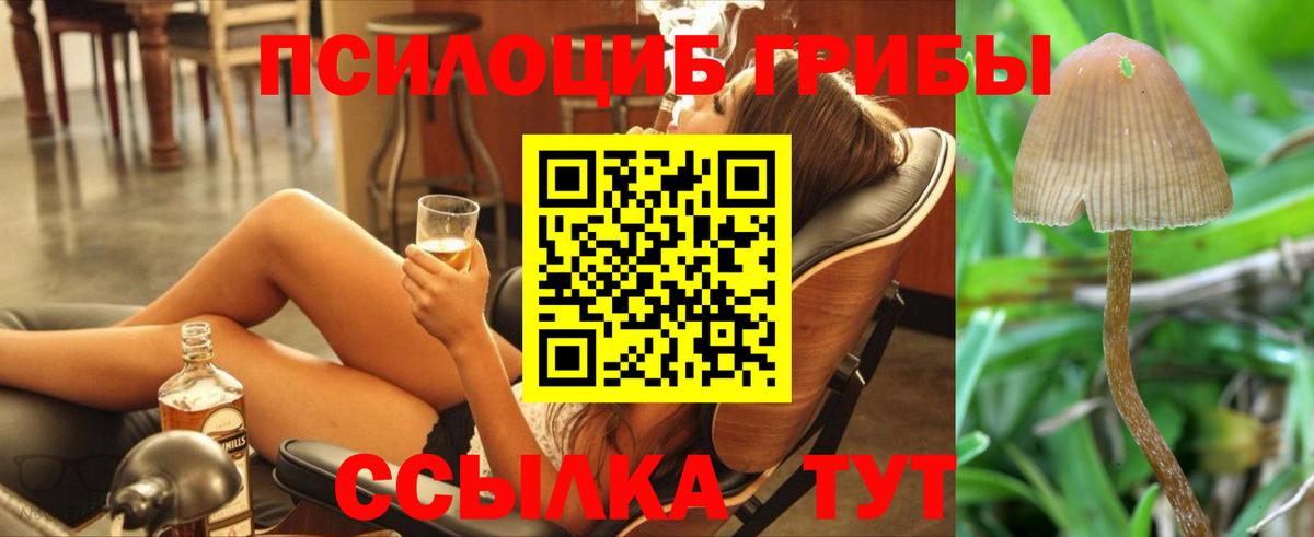 Псилоцибиновые грибы ЛСД  магазин  наркотиков  Галлюциногенные грибы GOLDEN TEACHER  Лесосибирск  Вход с VPN 