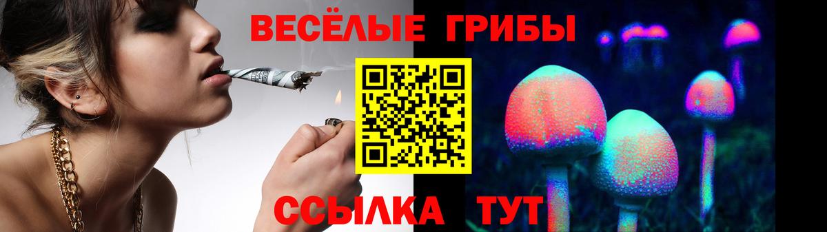 Галлюциногенные грибы MAGIC MUSHROOMS Лесосибирск
